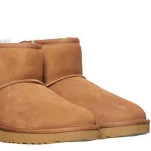 Ugg Mini boot in Chestnut